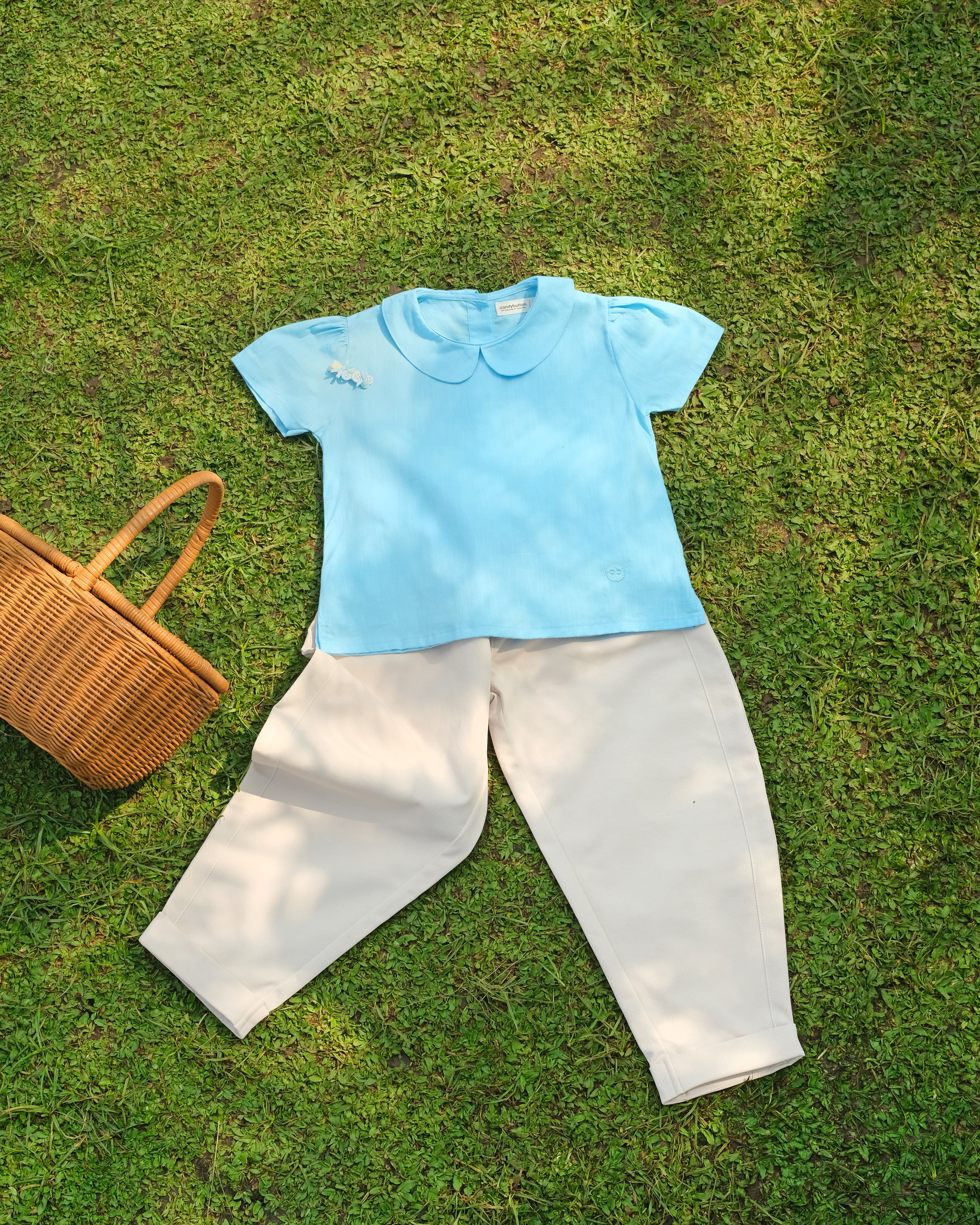 Basic : Peterpan Collar Top in Blue