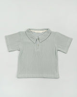 Seashore Knit Polo Shirt in Sage