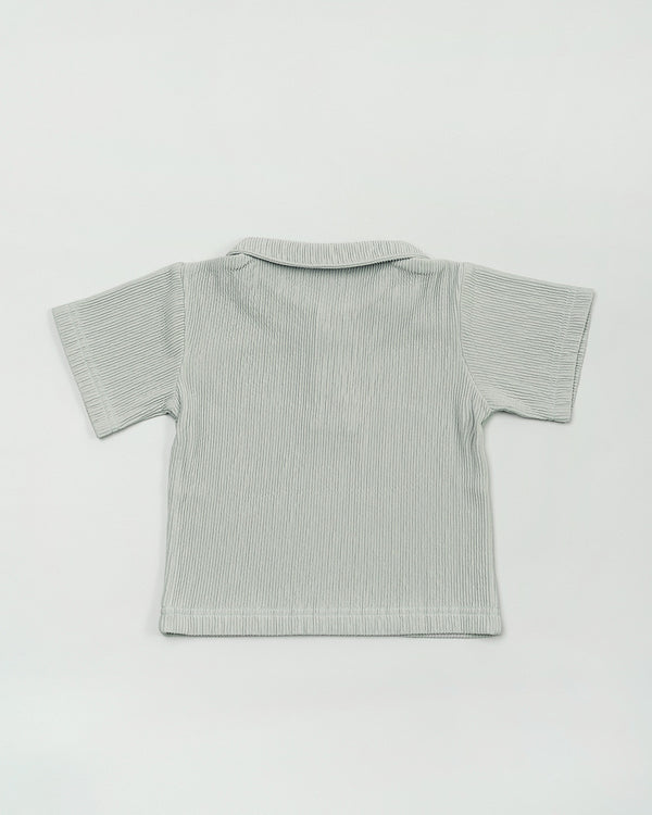 Seashore Knit Polo Shirt in Sage
