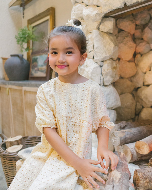 Camelia Embroidery Dress  in Cream