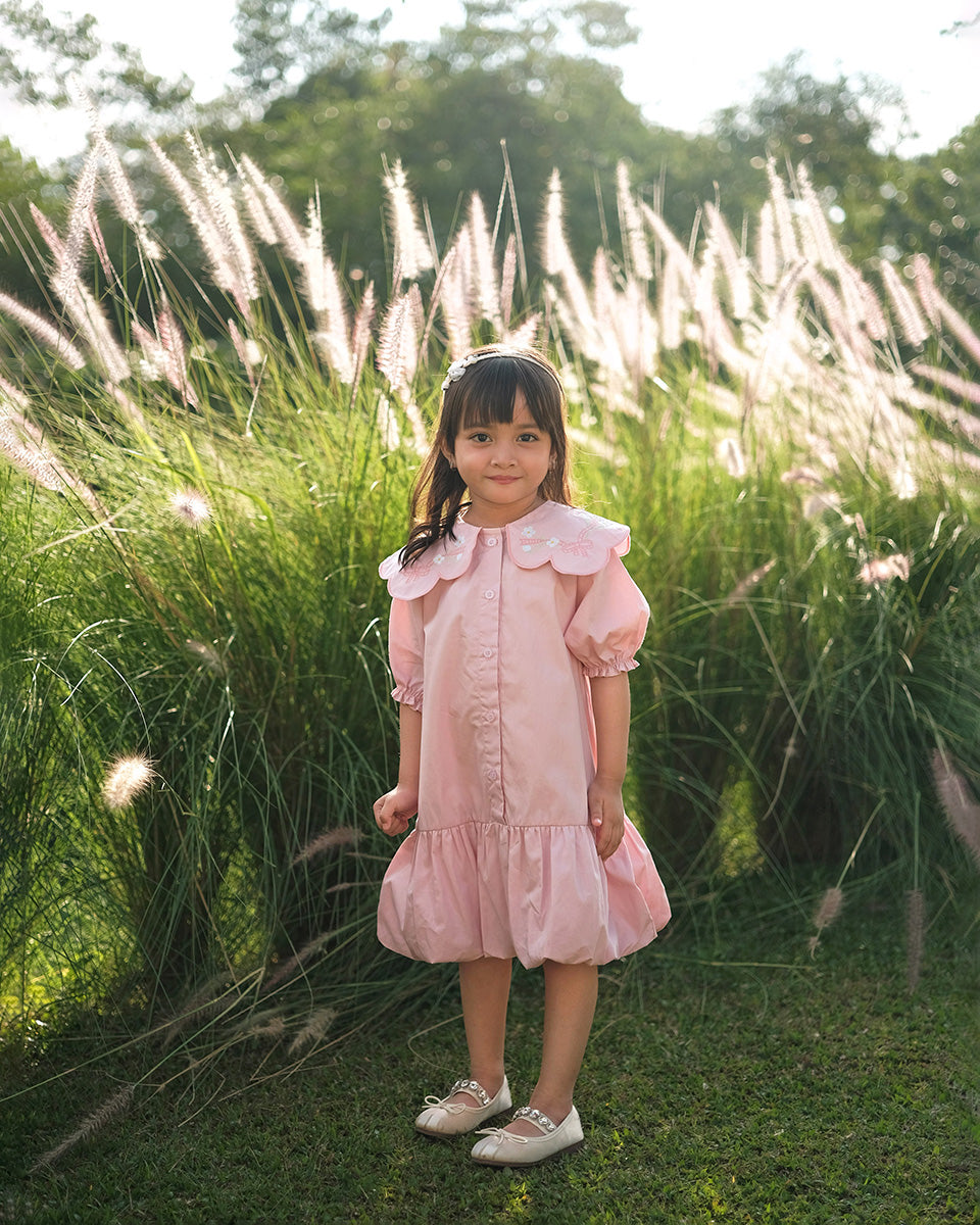 Catalina Embroidery Dress in Pink