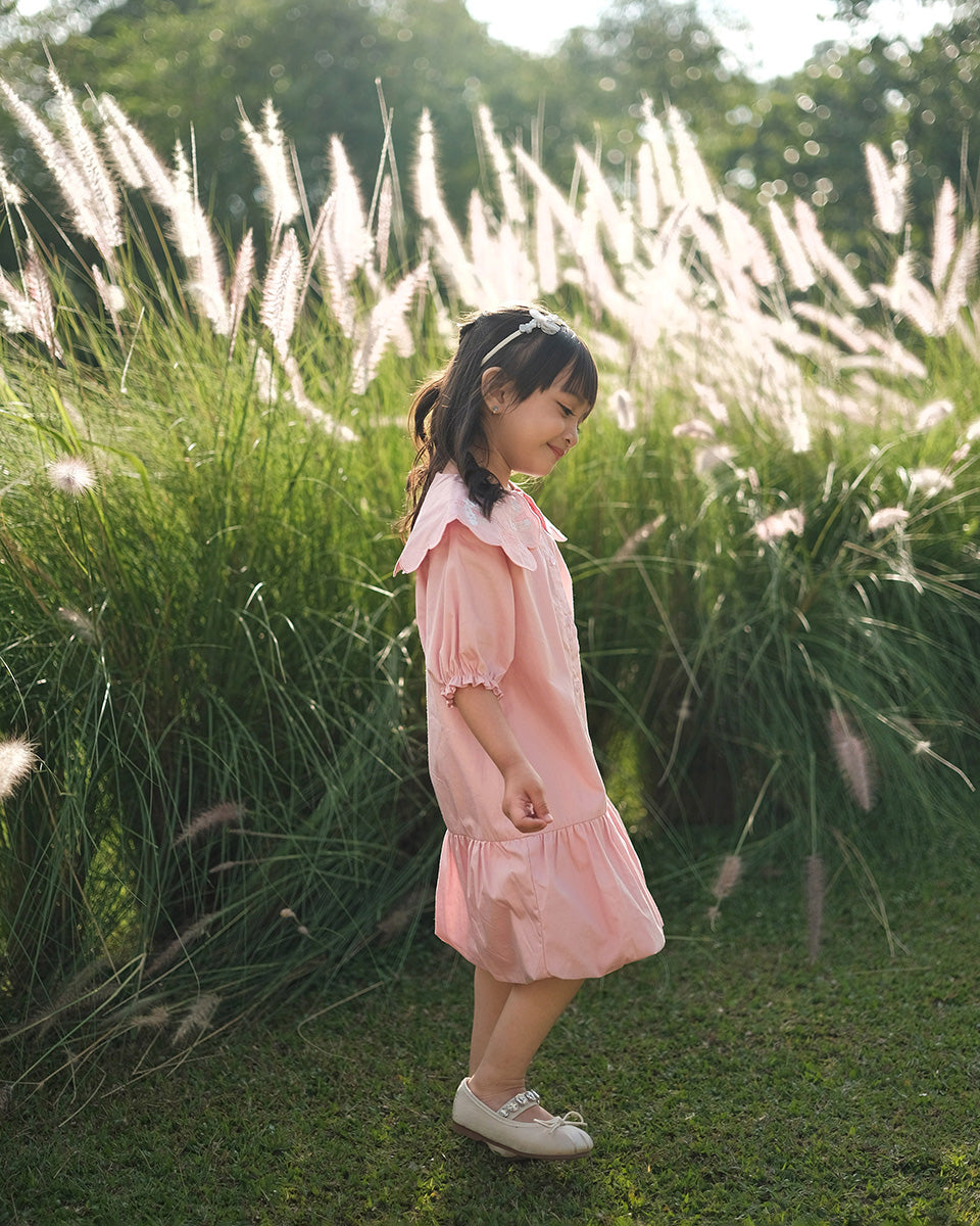 Catalina Embroidery Dress in Pink